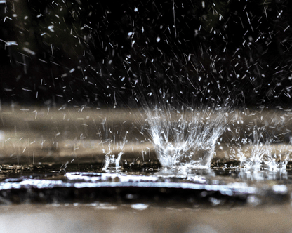 Rainwater Removal Service